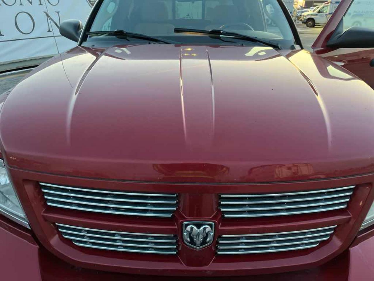 2008 Dodge Dakota SXT - Photo #14