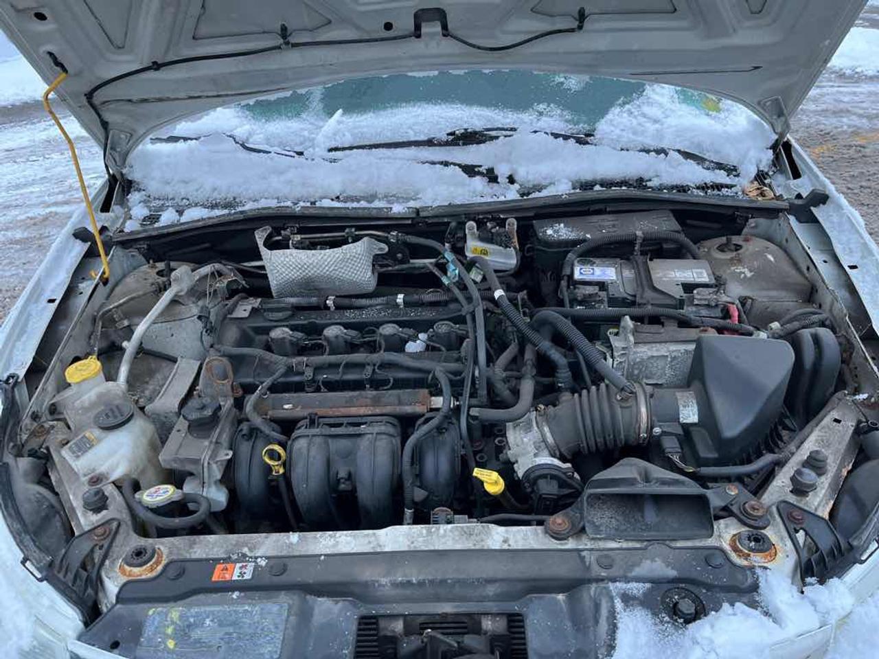 2011 Ford Focus SE Photo