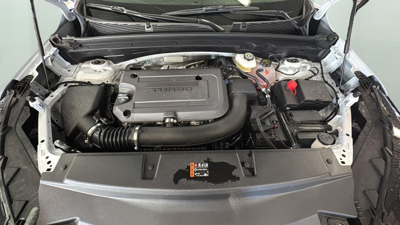 13261802