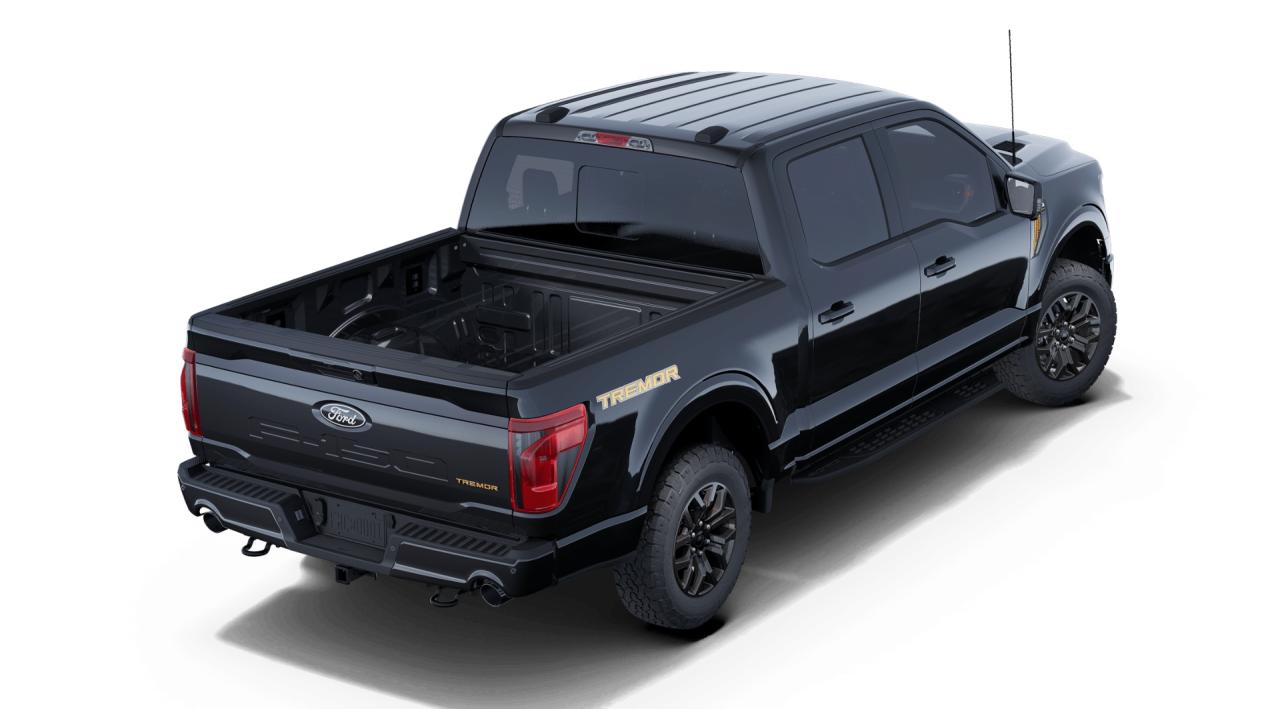 2025 Ford F-150 Tremor 4WD SuperCrew 5.5' Box Photo