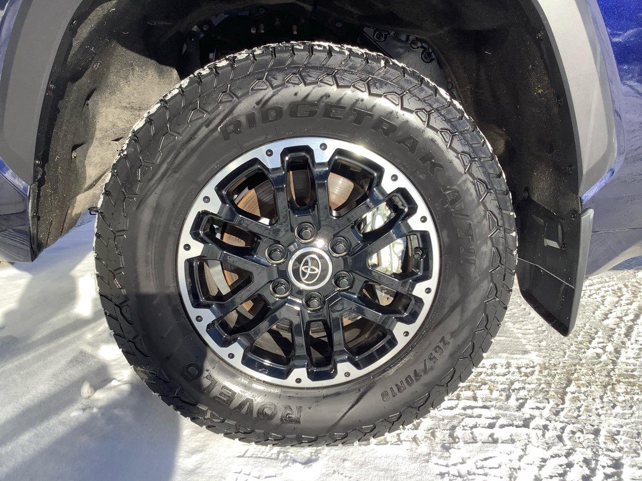 2023 Toyota Tundra Limited  Photo