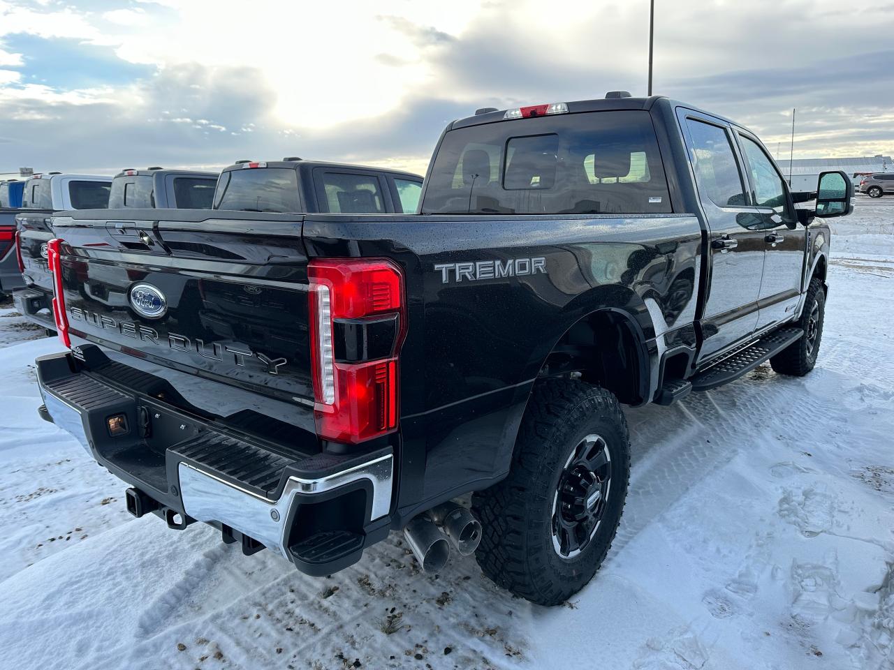 2025 Ford F-350 Super Duty SRW LARIAT 4WD Crew Cab 6.75' Box 618A Photo