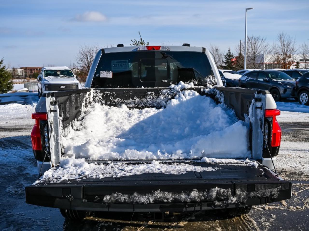 2025 Ford F-150 Lightning Lariat Photo