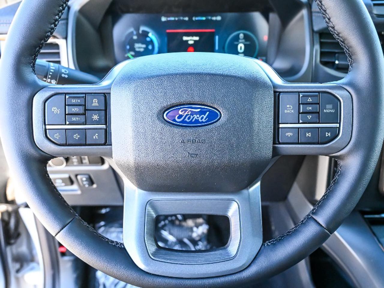 2025 Ford F-150 Lightning Lariat Photo