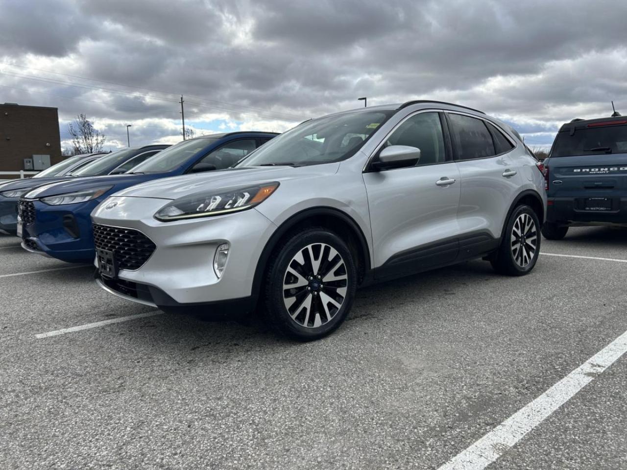 Used 2020 Ford Escape SEL AWD for sale in Watford, ON