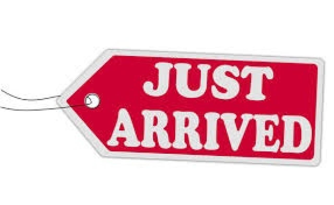 Used 2022 Ford Explorer XLT 4WD for sale in Watford, ON