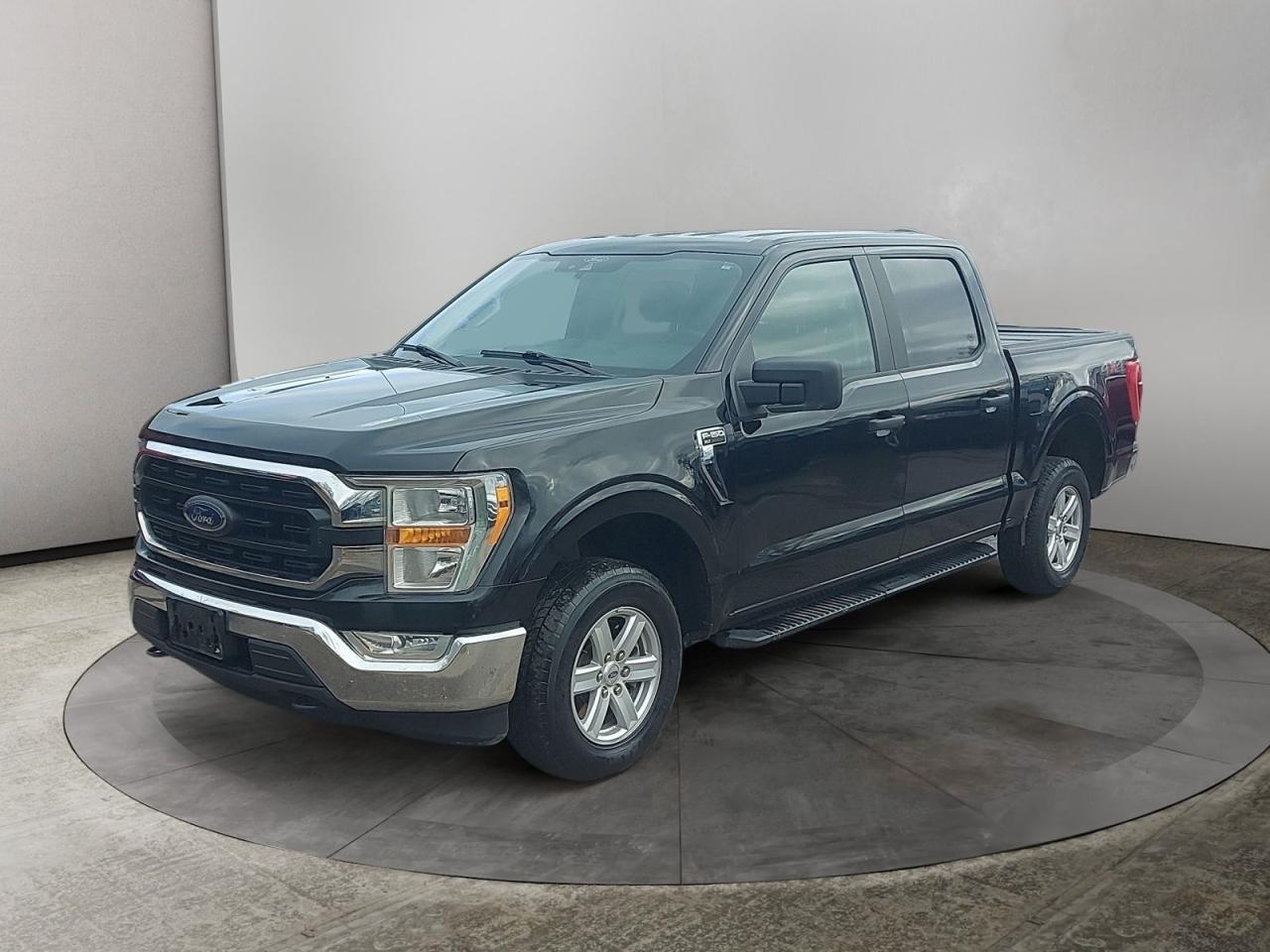 2021 Ford F-150 XL Photo0