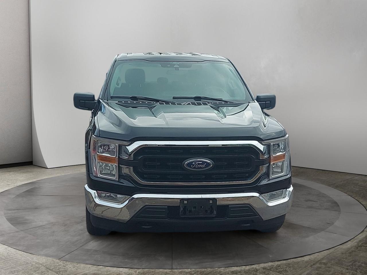 2021 Ford F-150 XL Photo