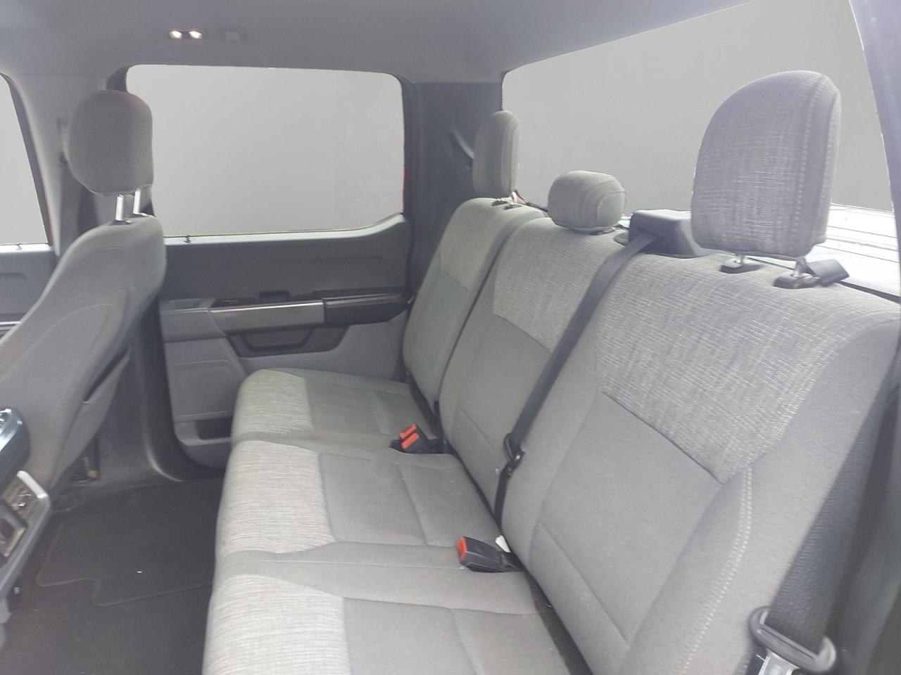 2021 Ford F-150 XL Photo