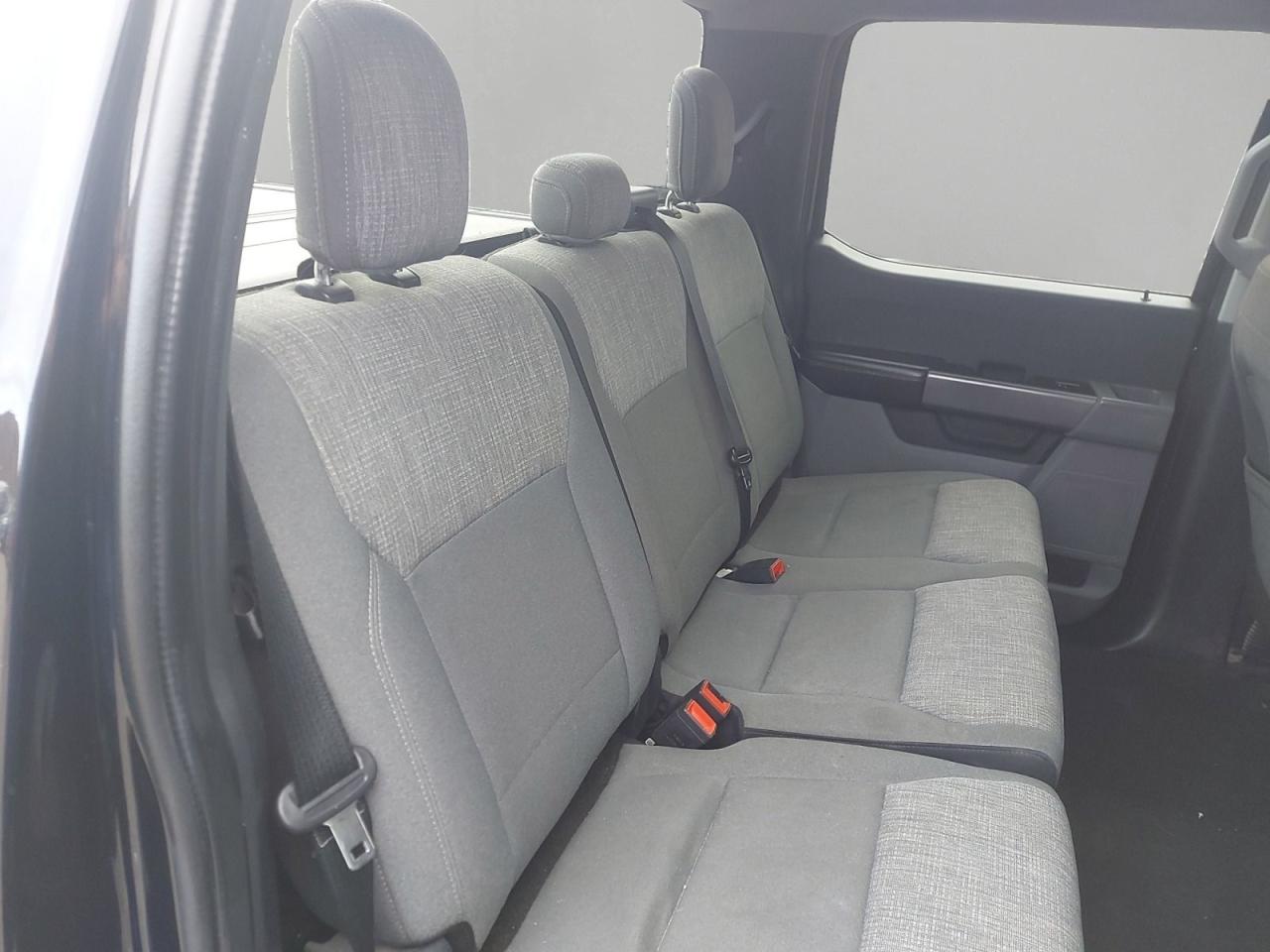 2021 Ford F-150 XL Photo