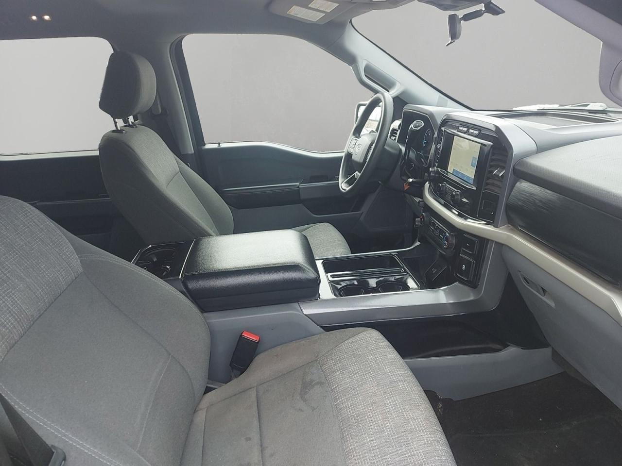 2021 Ford F-150 XL Photo