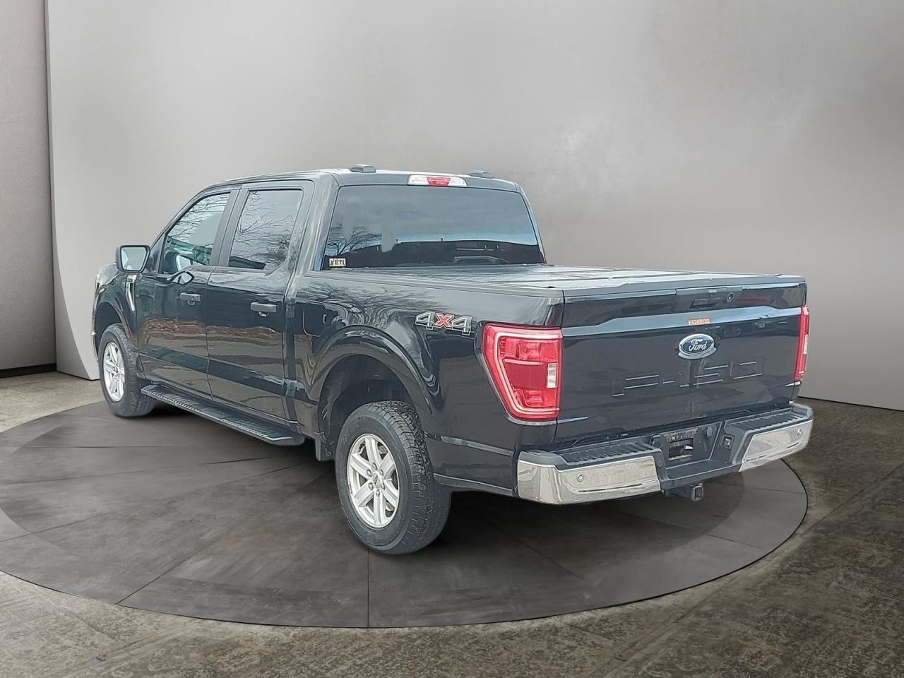 2021 Ford F-150 XL Photo