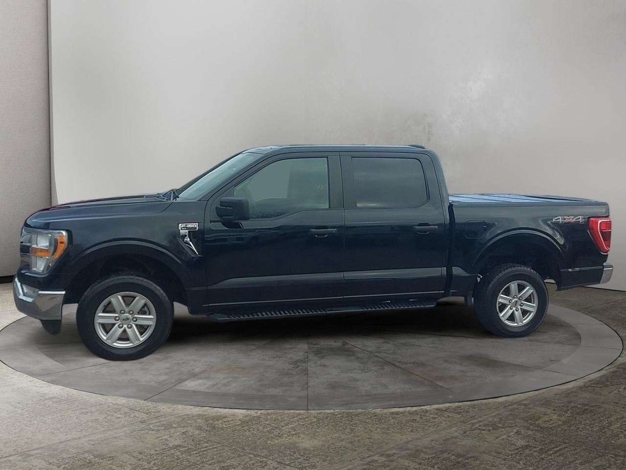 2021 Ford F-150 XL Photo
