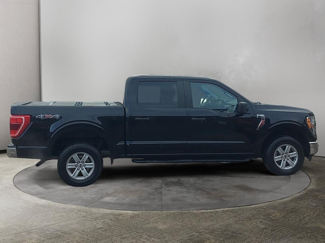 2021 Ford F-150 XL Photo
