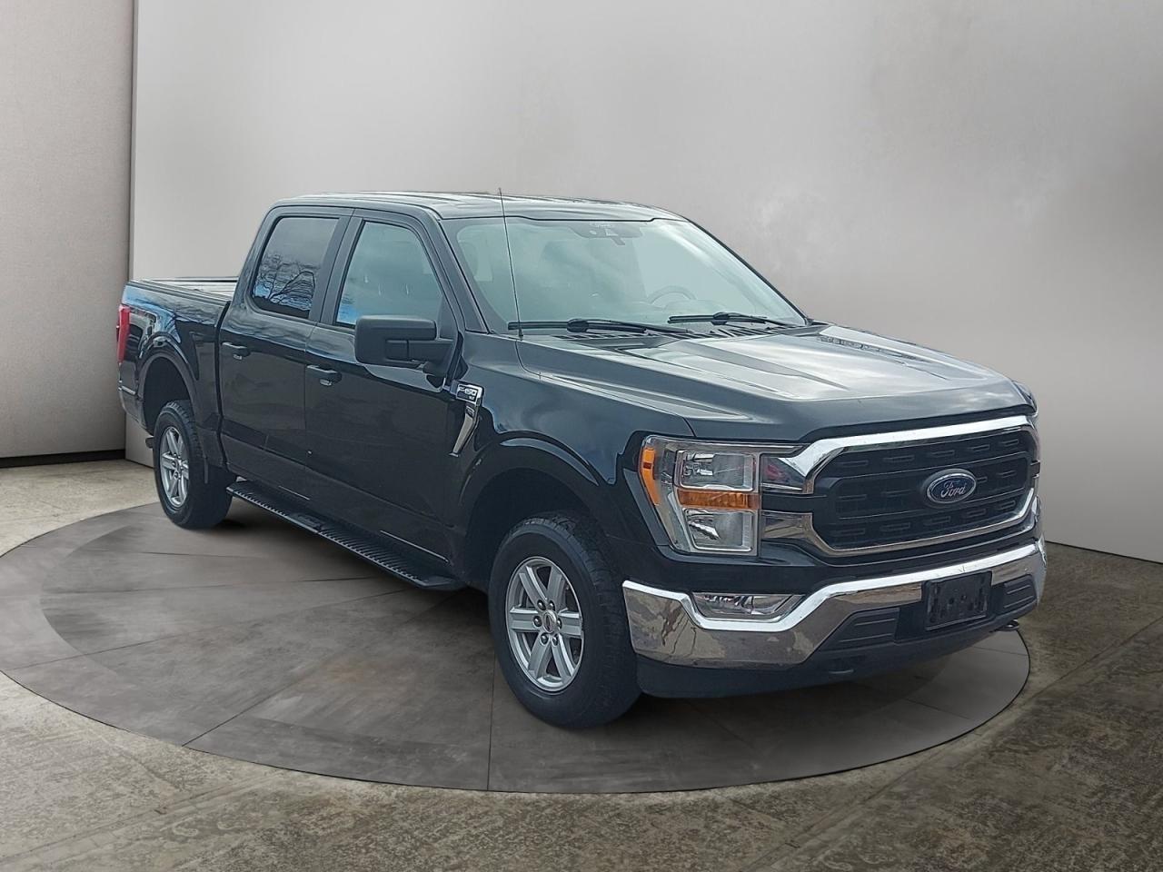 2021 Ford F-150 XL Photo