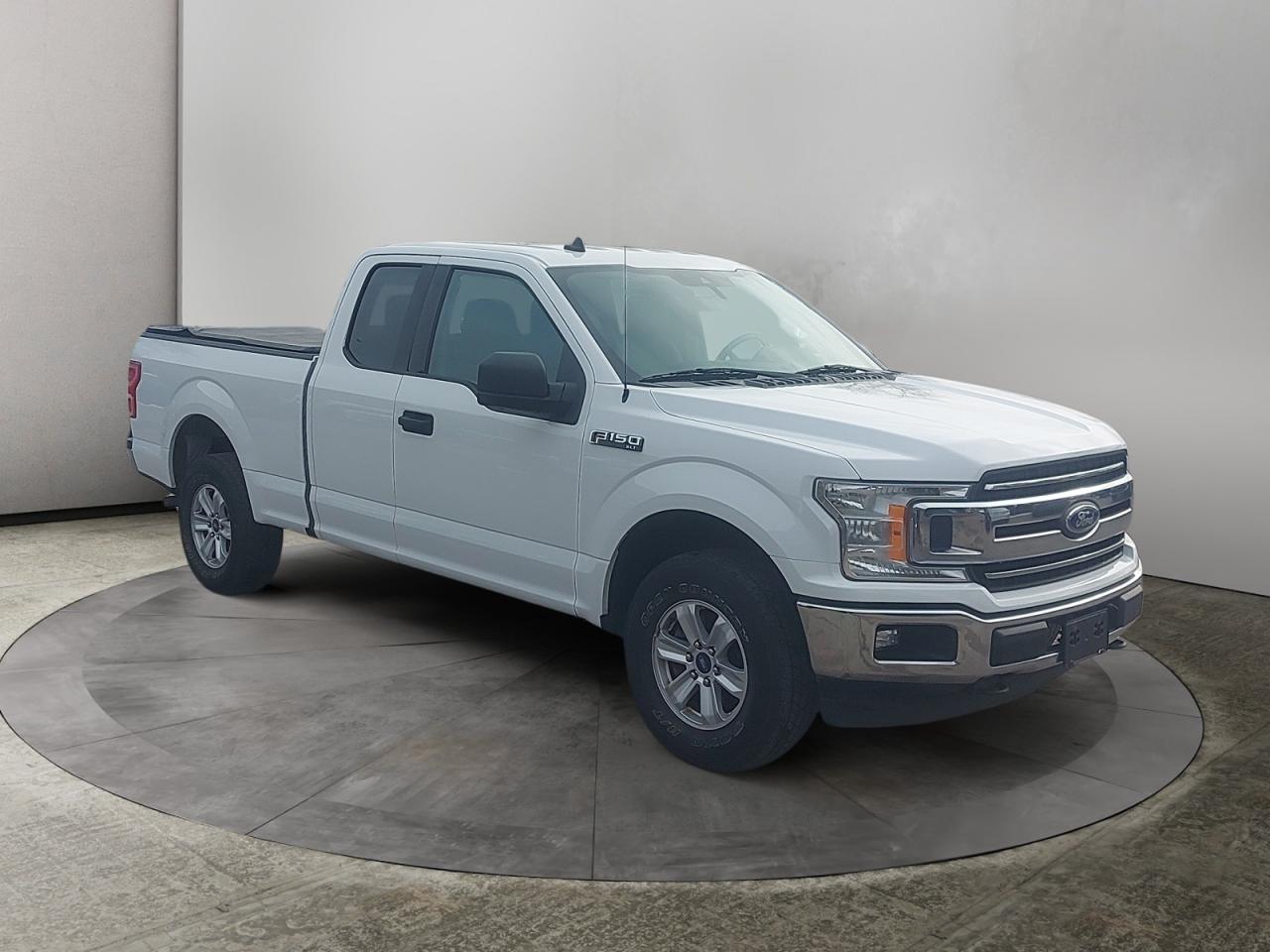 2019 Ford F-150 XLT Photo