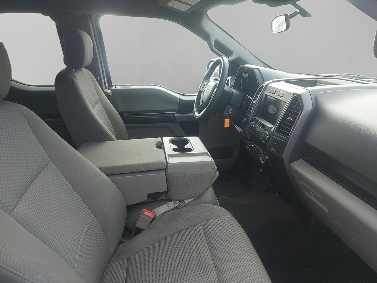 2019 Ford F-150 XLT Photo