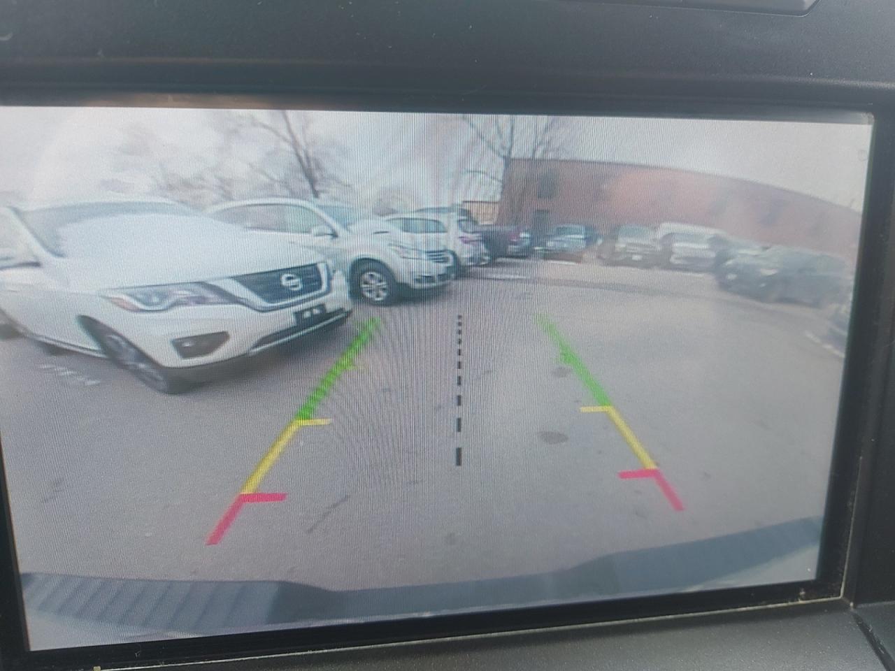 2019 Ford F-150 XLT Photo