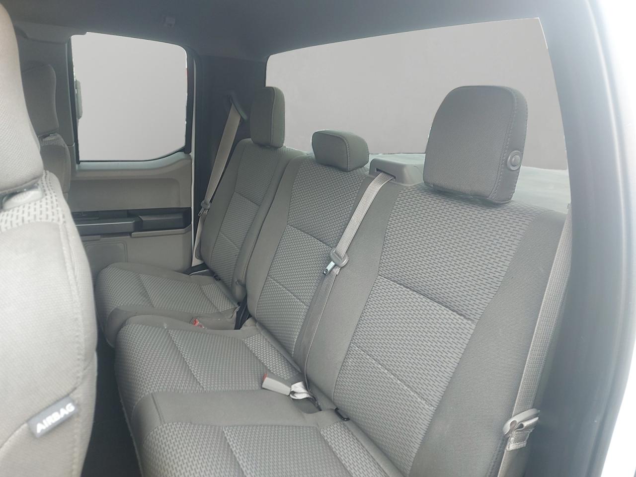 2019 Ford F-150 XLT Photo