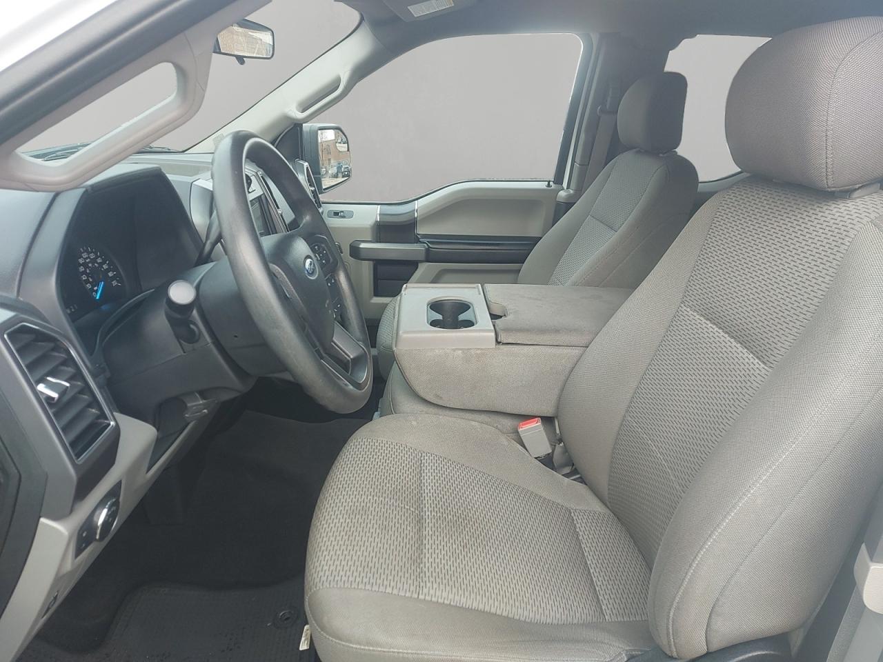 2019 Ford F-150 XLT Photo