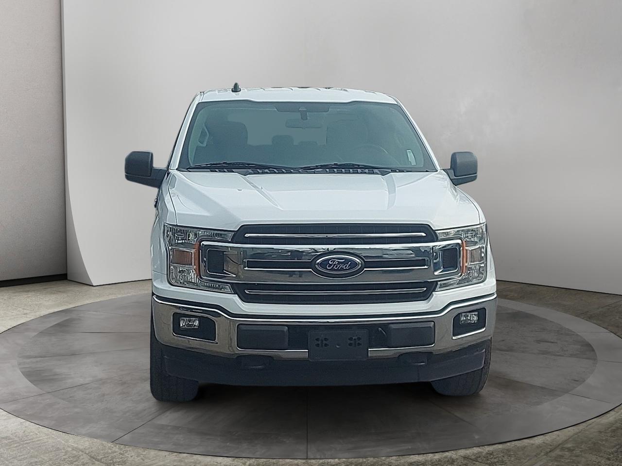 2019 Ford F-150 XLT Photo