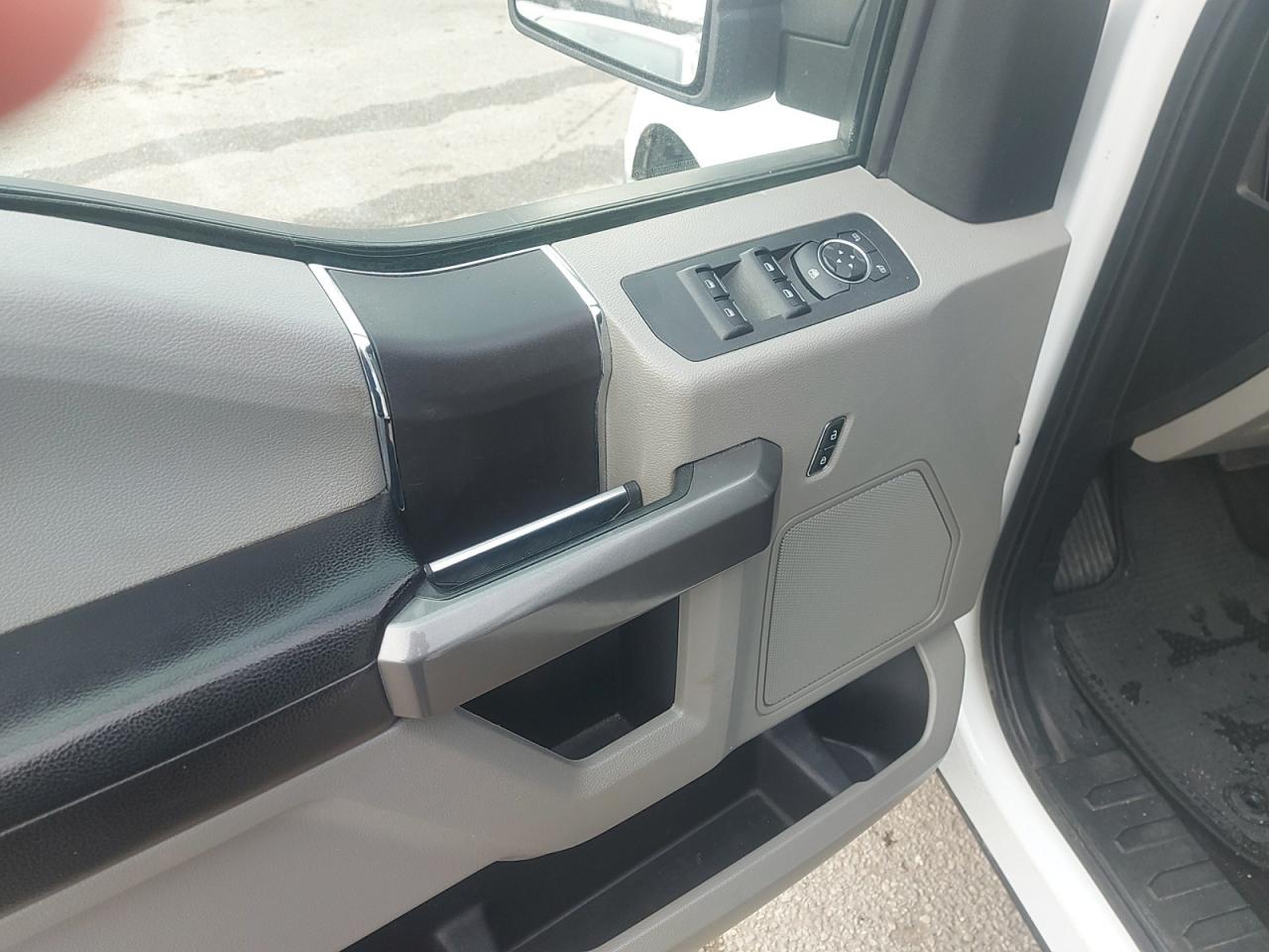 2019 Ford F-150 XLT Photo