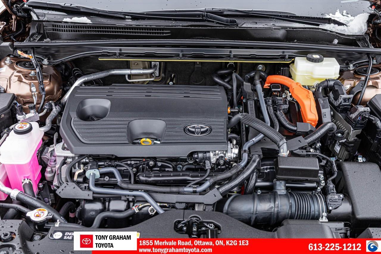 2025 Toyota Crown Signia Limited Photo