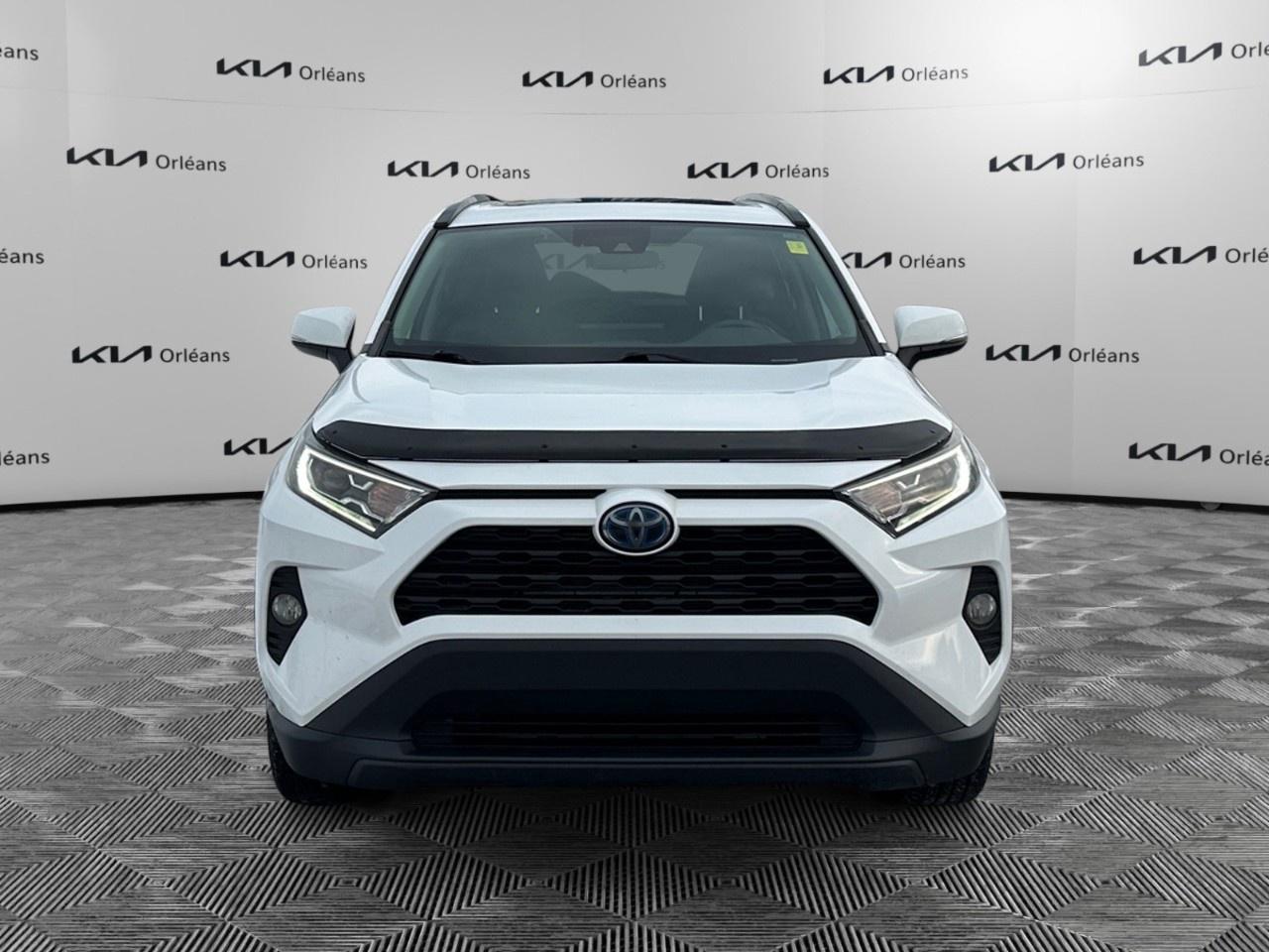 2019 Toyota RAV4 AWD Hybrid XLE Photo