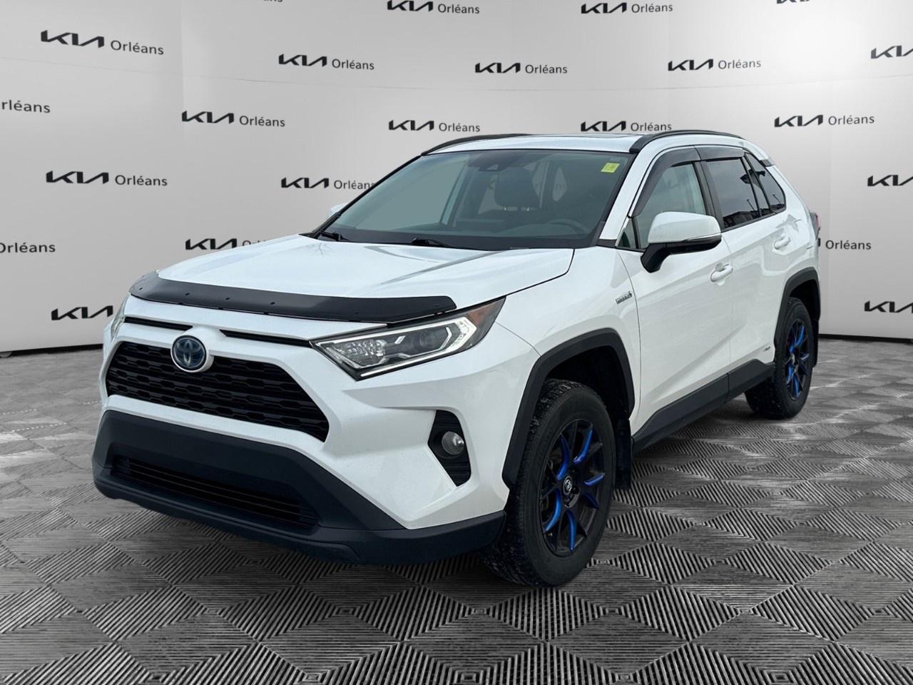 2019 Toyota RAV4 AWD Hybrid XLE Photo