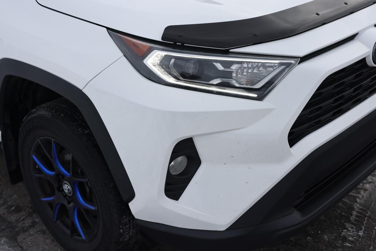 2019 Toyota RAV4 AWD Hybrid XLE Photo