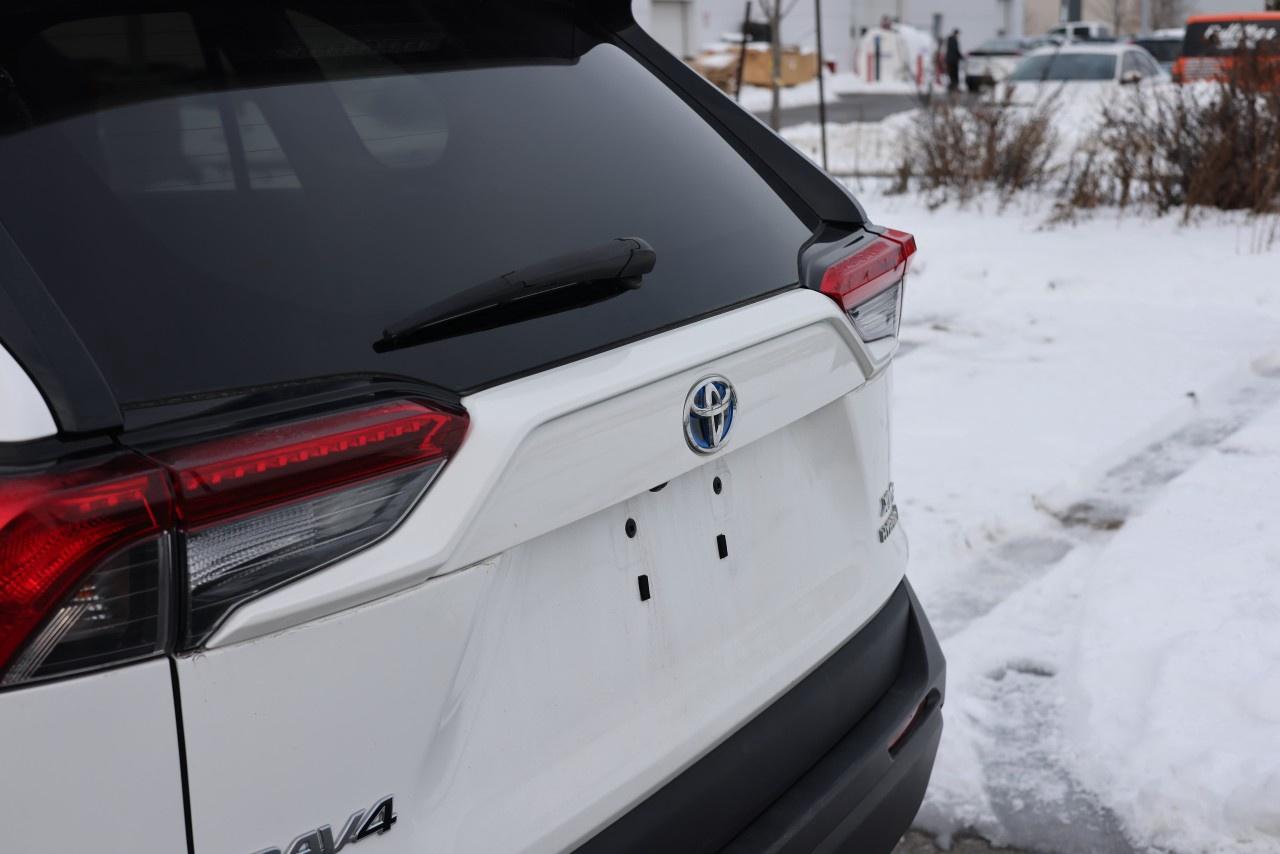 2019 Toyota RAV4 AWD Hybrid XLE Photo