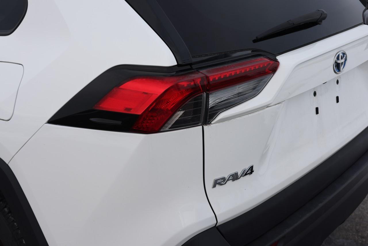 2019 Toyota RAV4 AWD Hybrid XLE Photo