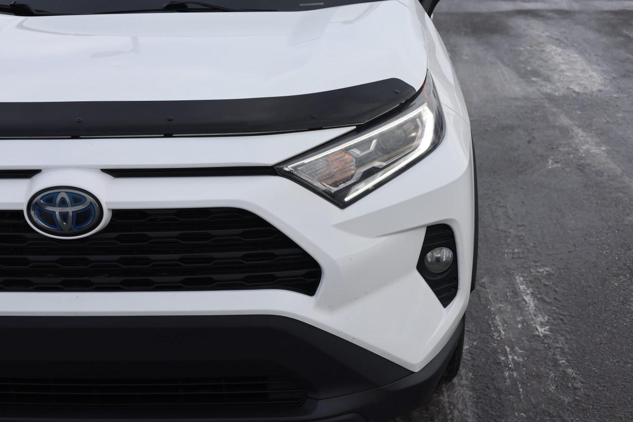 2019 Toyota RAV4 AWD Hybrid XLE Photo