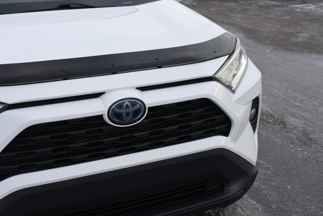 2019 Toyota RAV4 AWD Hybrid XLE Photo