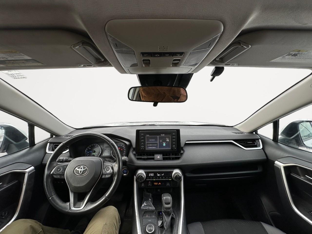 2019 Toyota RAV4 AWD Hybrid XLE Photo