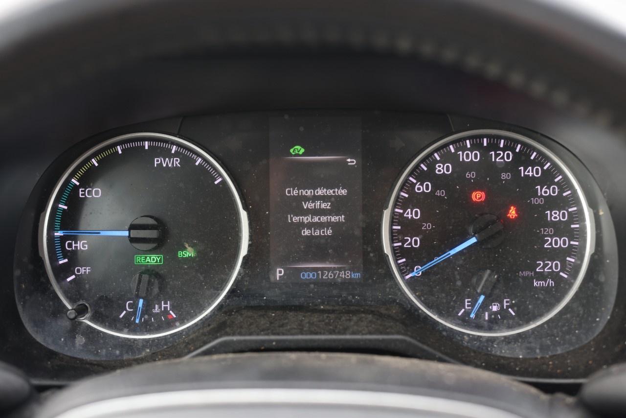 2019 Toyota RAV4 AWD Hybrid XLE Photo