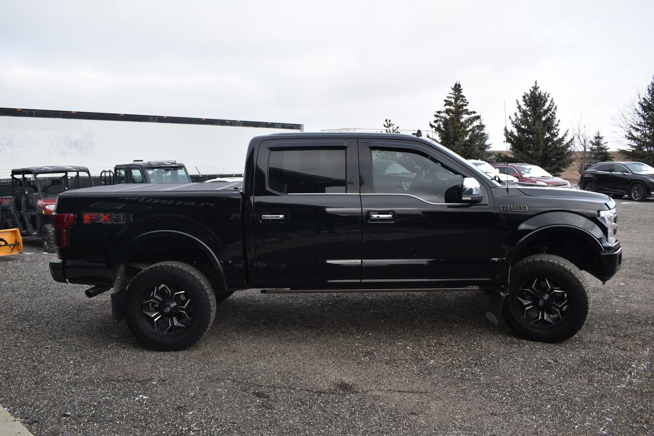 2018 Ford F-150 PLATINUM 5.0L - Photo #6