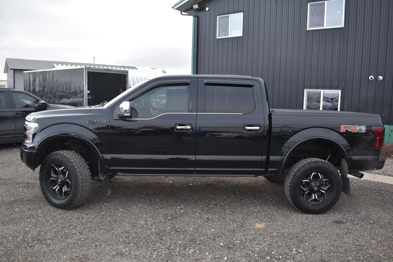 2018 Ford F-150 PLATINUM 5.0L - Photo #2