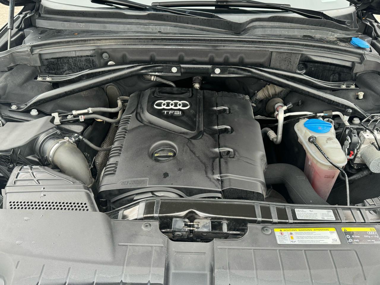 2016 Audi Q5 2.0T Progressiv - Photo #19