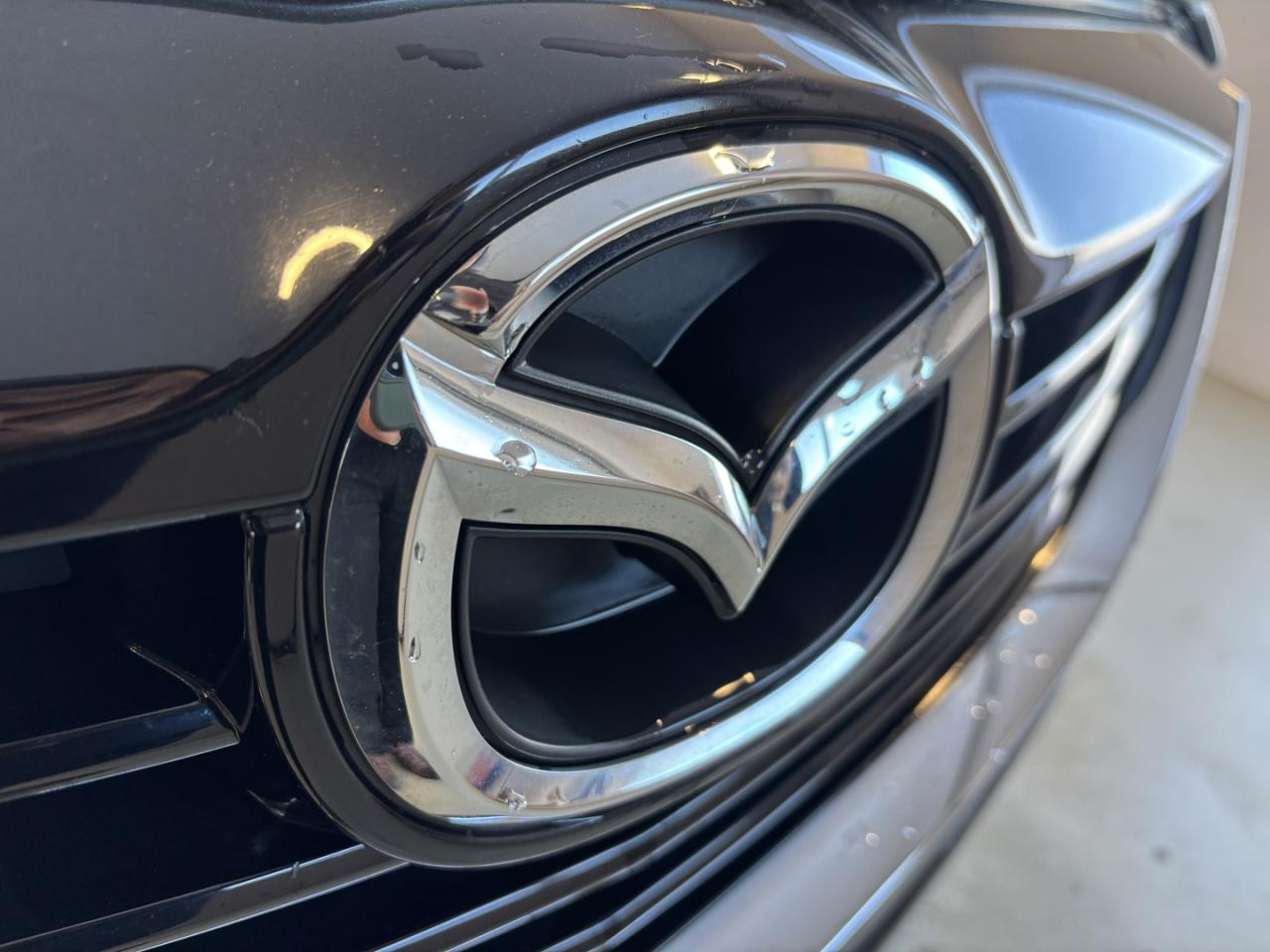 2015 Mazda CX-9 GS ~29 SERVICE RECORDS~ Photo