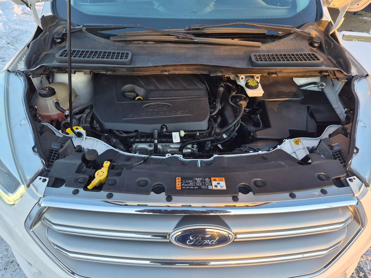 2017 Ford Escape SE AWD Htd Seats, Large BU Cam, Park Assist - Photo #5