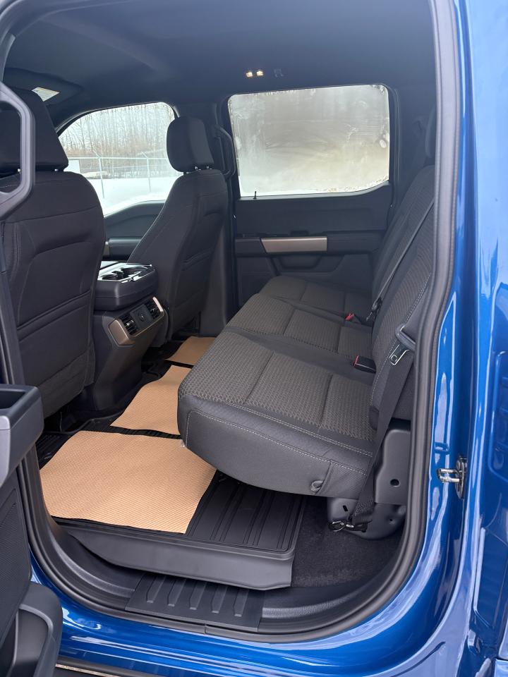 2025 Ford F-150 STX Photo4