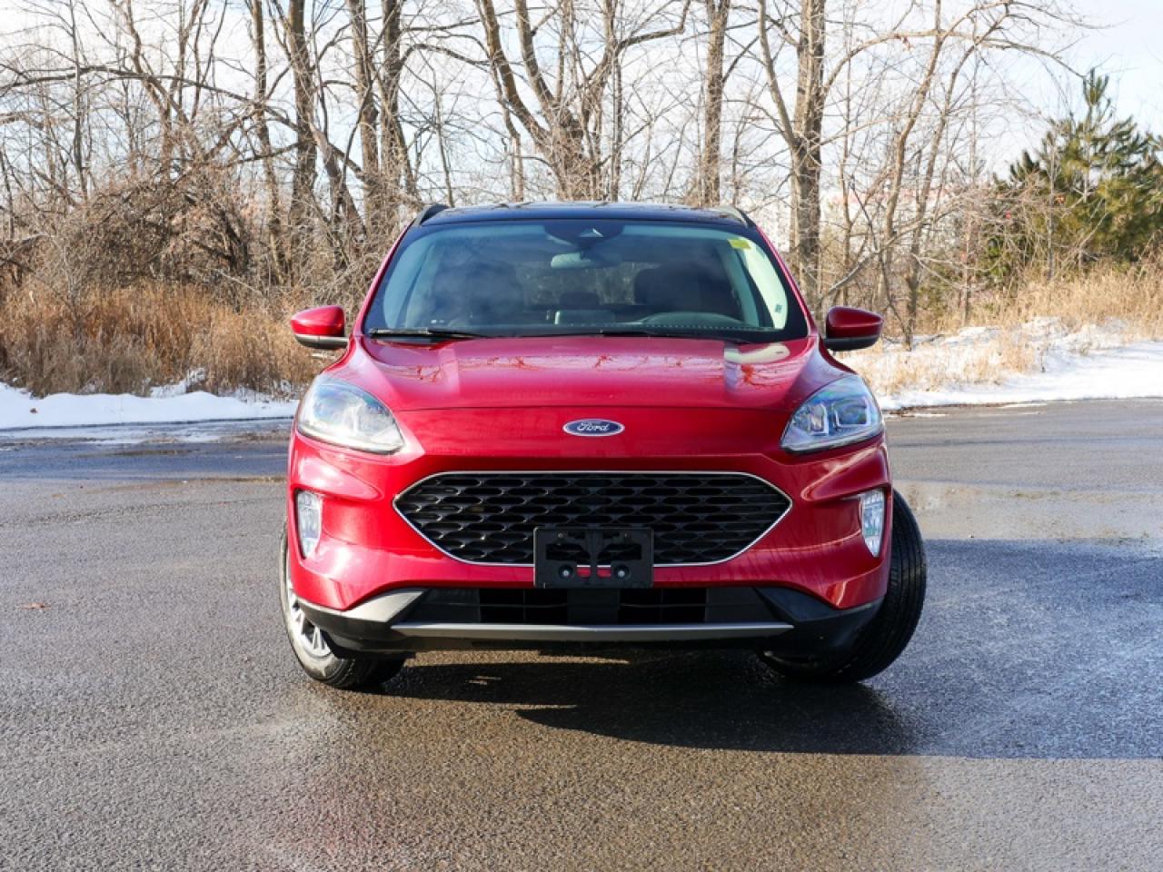 2022 Ford Escape SEL AWD  - Power Liftgate -  Park Assist - $176 B/W Photo4