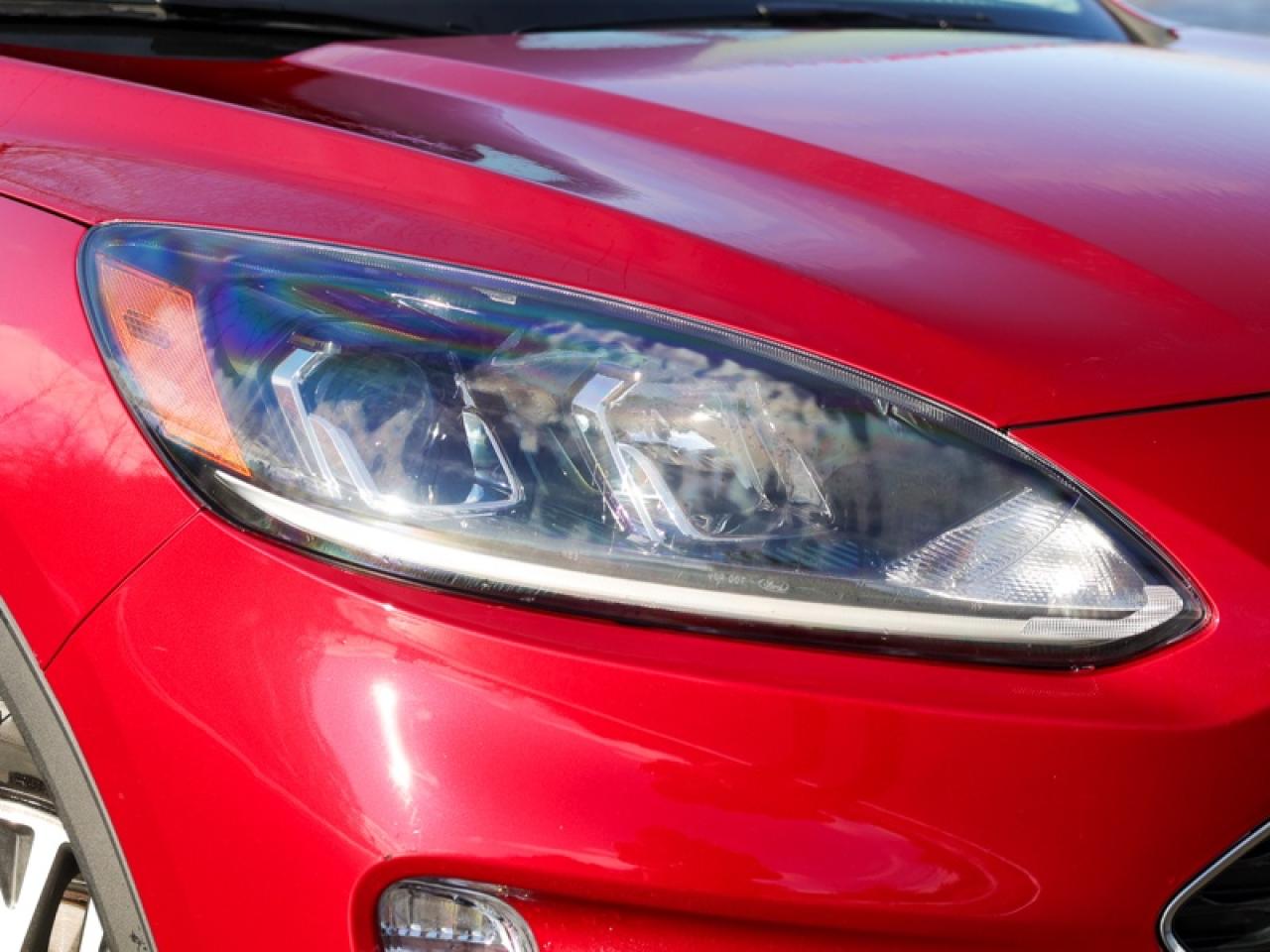 2022 Ford Escape SEL AWD  - Power Liftgate -  Park Assist - $176 B/W Photo