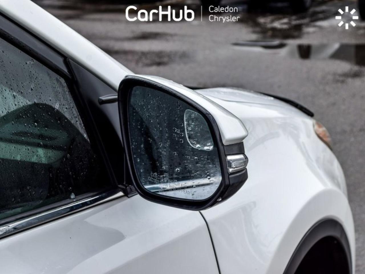 2014 Toyota RAV4 LIMITED  Photo