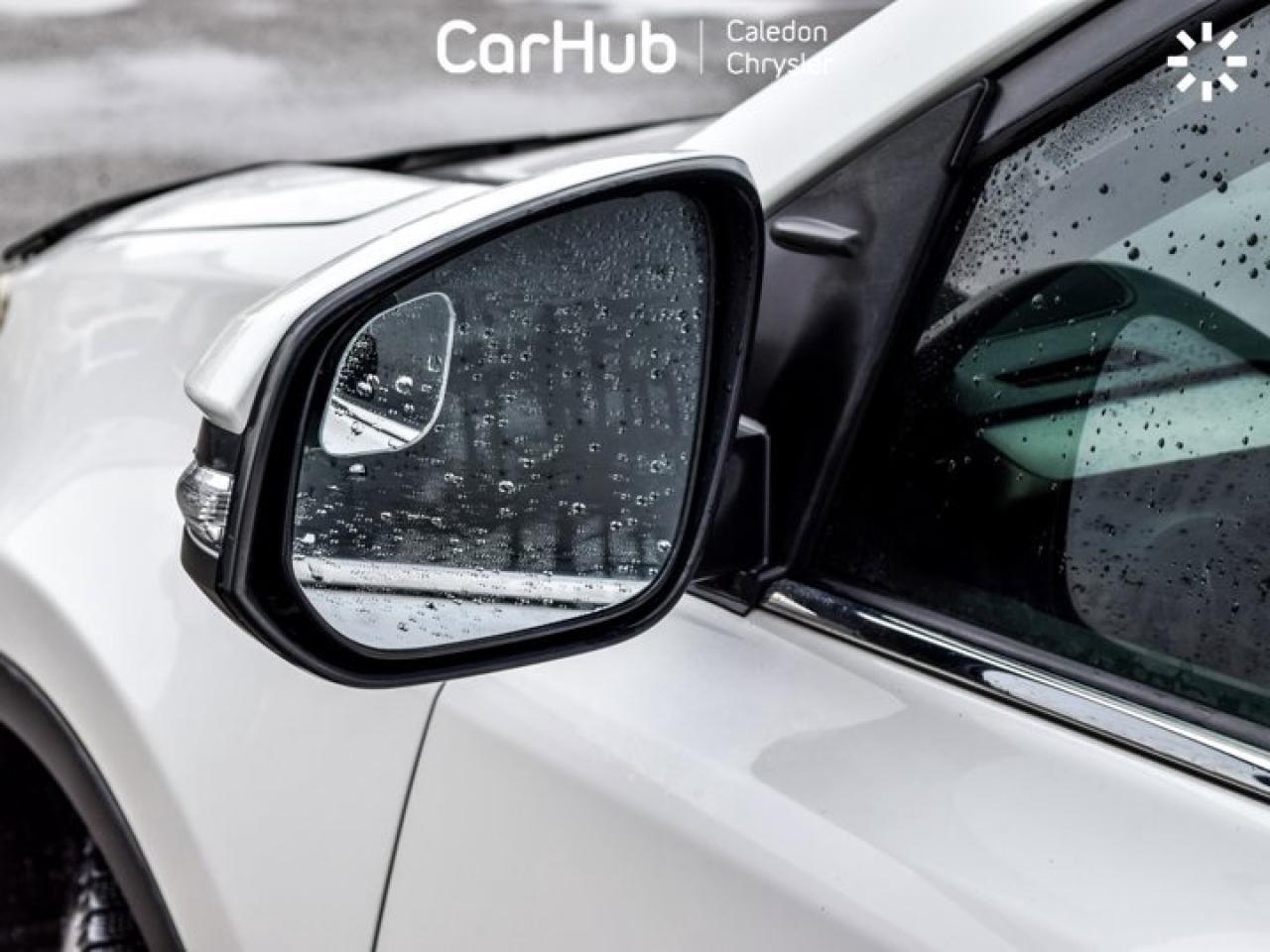 2014 Toyota RAV4 LIMITED  Photo