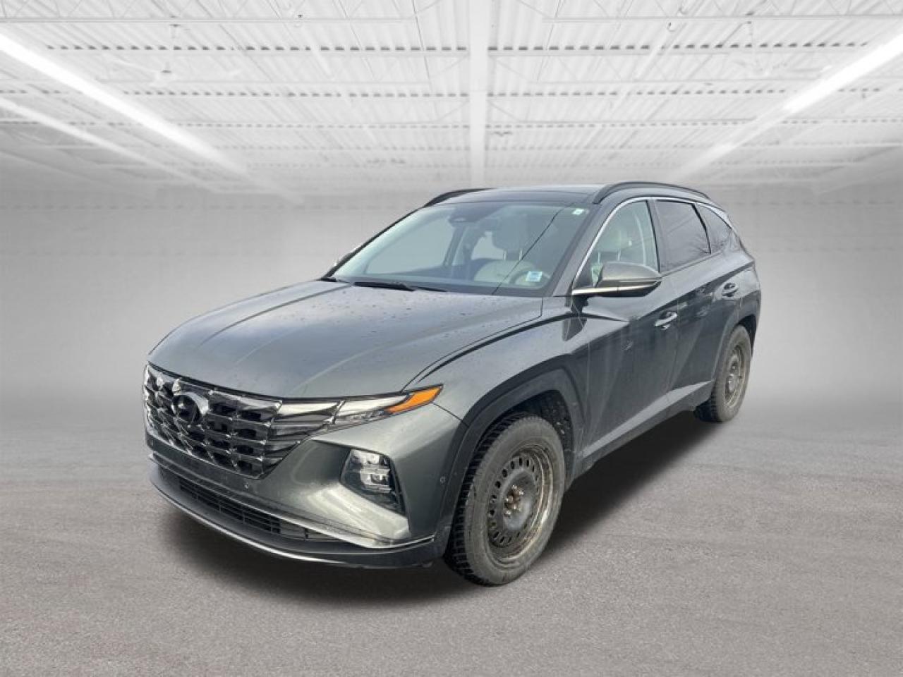 Used 2022 Hyundai Tucson Hybrid Ultimate for sale in Halifax, NS