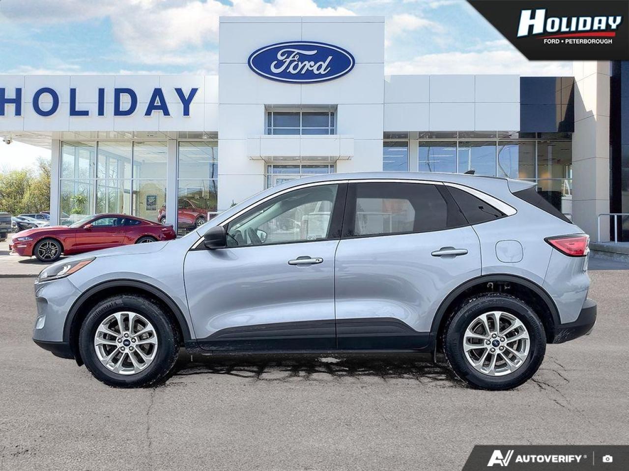 2022 Ford Escape SE Photo2