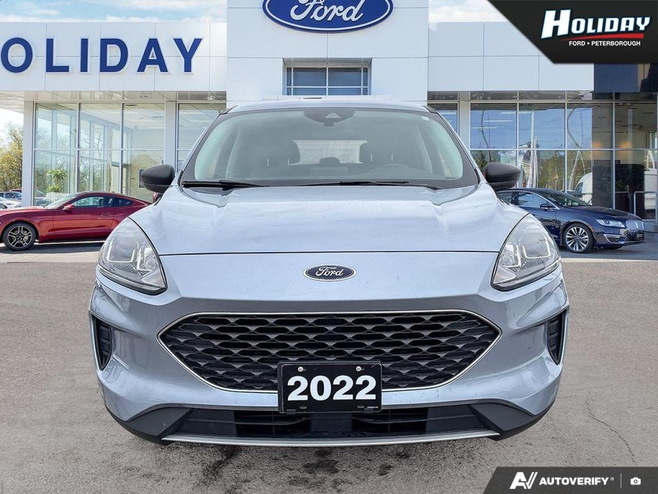 2022 Ford Escape SE Photo