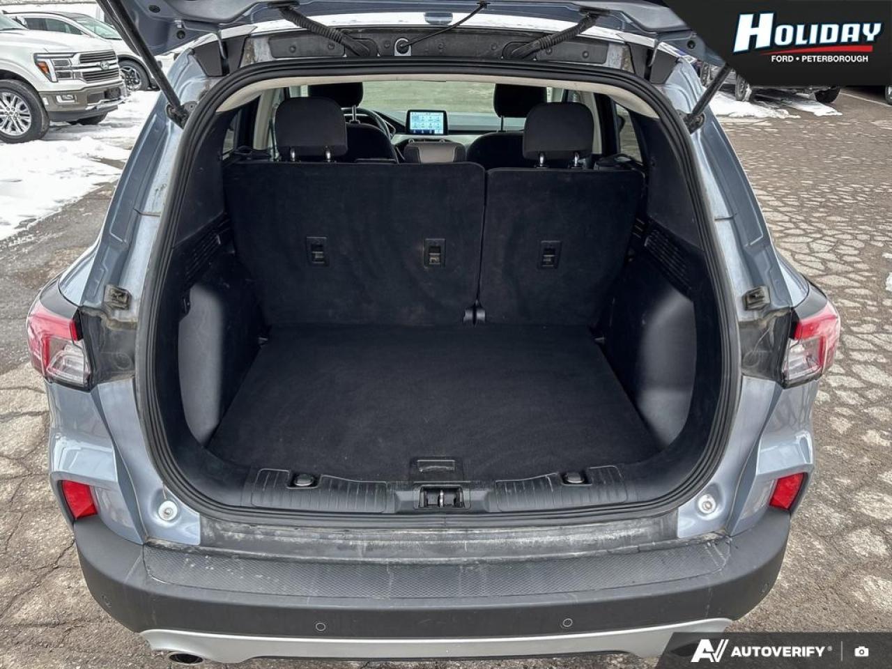 2022 Ford Escape SE Photo